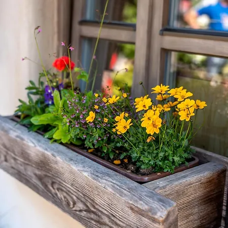 Julijana * Kranjska Gora