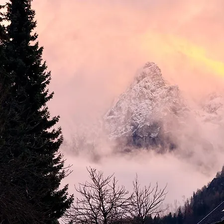 Julijana クランスカゴーラ