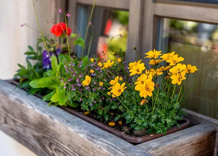 Julijana * Kranjska Gora